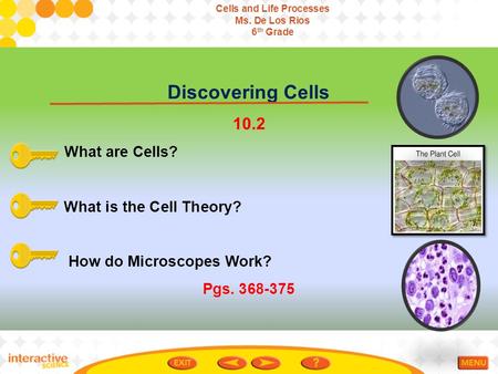 Cells and Life Processes