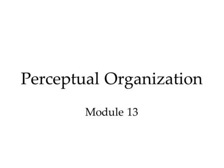 Perceptual Organization Module 13. Overview Perceptual Organization  Form Perception  Depth Perception  Perceptual Constancy.