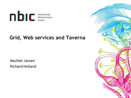 Grid, Web services and Taverna Machiel Jansen Richard Holland.