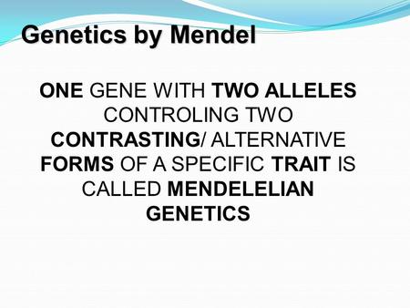 Genetics by Mendel 1 ONE GENE WITH TWO ALLELES CONTROLING TWO CONTRASTING/ ALTERNATIVE FORMS OF A SPECIFIC TRAIT IS CALLED MENDELELIAN GENETICS.