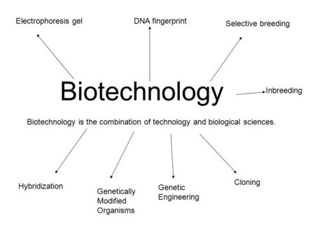 Biotechnology Biotechnology is the combination of technology and biological sciences. Electrophoresis gelDNA fingerprint Selective breeding Hybridization.