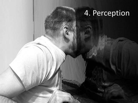 4. Perception. Lesson 1 Empiricism Common-sense realism Perceptual illusions.
