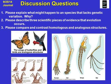 Discussion Questions Discussion Questions 9/25/14 Journal 1.Please explain what might happen to an species that lacks genetic variation. Why? 2.Please.