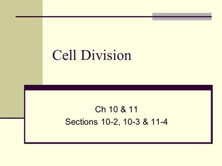 Cell Division Ch 10 & 11 Sections 10-2, 10-3 & 11-4.