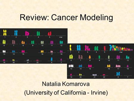 Review: Cancer Modeling