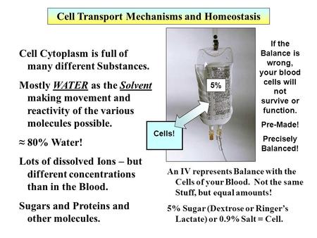 Cell Transport Mechanisms and Homeostasis Cell Cytoplasm is full of many different Substances. Mostly WATER as the Solvent making movement and reactivity.