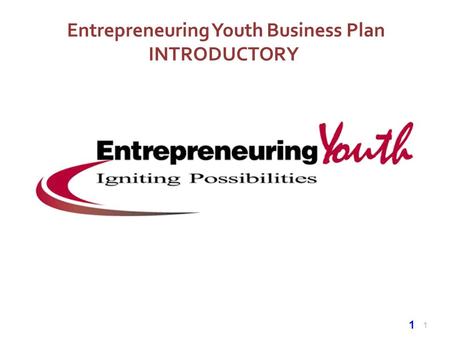 Entrepreneuring Youth Business Plan INTRODUCTORY