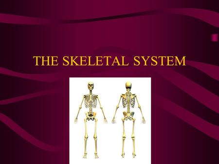 THE SKELETAL SYSTEM. Purpose of the Skeletal System Provides structure, support, and protection for the body Involved in movement Bones make new blood.