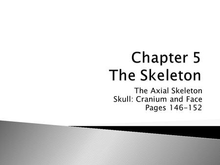 The Axial Skeleton Skull: Cranium and Face Pages