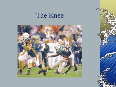 The Knee From the Sports Medicine Perspective Bony Anatomy Femur Patella Tibia Fibula.
