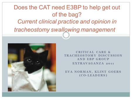 CRITICAL CARE & TRACHEOSTOMY DISCUSSION AND EBP GROUP EXTRAVAGANZA 2011 EVA NORMAN, KLINT GOERS (CO-LEADERS) Does the CAT need E3BP to help get out of.