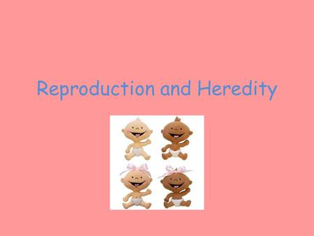 Reproduction and Heredity. reproduction The process in which new “offspring” are produced from their parents.
