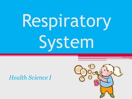 Respiratory System Health Science I. Structures of Upper Respiratory System Nose Sinuses Pharynx Epiglottis Larynx Trachea.