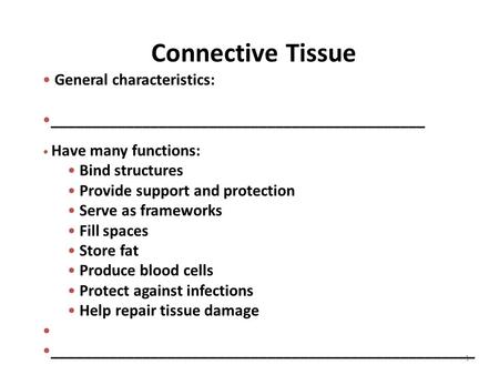 Connective Tissue 1 General characteristics: _____________________________________________ Have many functions: Bind structures Provide support and protection.