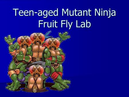 Teen-aged Mutant Ninja Fruit Fly Lab. Objectives The purpose of this activity is for students to demonstrate how the process of meiosis creates daughter.