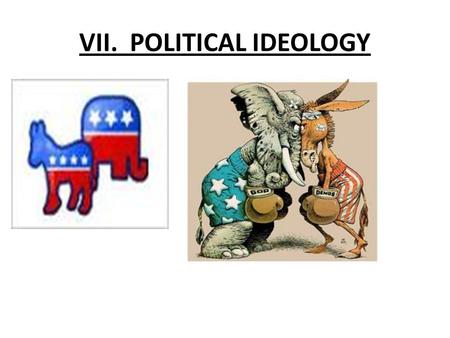 VII. POLITICAL IDEOLOGY