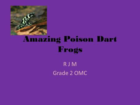 Amazing Poison Dart Frogs