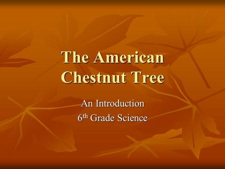 The American Chestnut Tree An Introduction 6 th Grade Science.