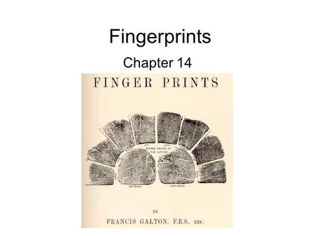 Fingerprints Chapter 14.