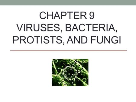 Chapter 9 Viruses, Bacteria, Protists, and Fungi