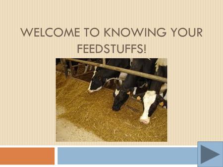 WELCOME TO KNOWING YOUR FEEDSTUFFS!. Why is this mini lesson important?