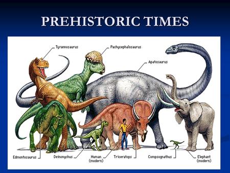 PREHISTORIC TIMES. A LONG LONG TIME AGO What was life like before written time? What was life like before written time? Prehistoric Prehistoric Time before.