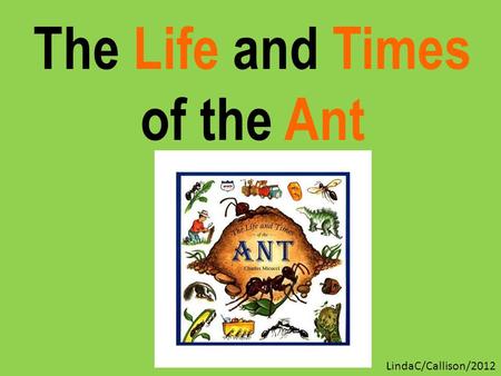 The Life and Times of the Ant LindaC/Callison/2012.