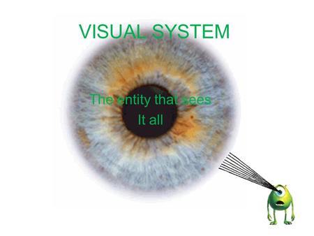 VISUAL SYSTEM The entity that sees It all. Humans have very good eyesight. Our eyes enable us to see in color as well as distinguish movement. The way.