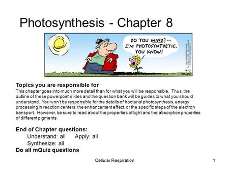Cellular Respiration1 Photosynthesis - Chapter 8 Topics you are responsible for This chapter goes into much more detail than for what you will be responsible.