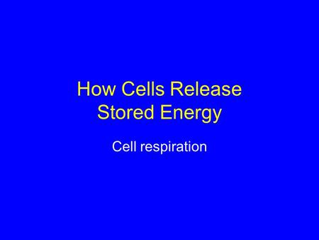 How Cells Release Stored Energy Cell respiration.