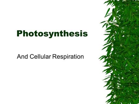 Photosynthesis And Cellular Respiration. Photosynthesis  Process where plants and other organisms use the sun’s energy to convert carbon dioxide and.