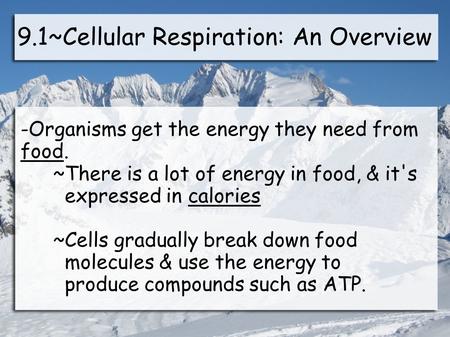 9.1~Cellular Respiration: An Overview -Organisms get the energy they need from food. ~There is a lot of energy in food, & it's expressed in calories ~Cells.