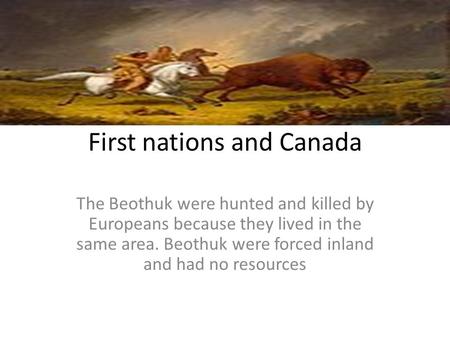 First nations and Canada The Beothuk were hunted and killed by Europeans because they lived in the same area. Beothuk were forced inland and had no resources.