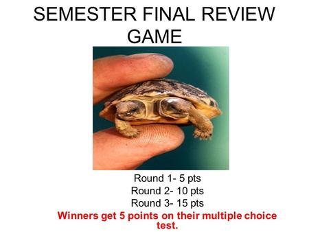 SEMESTER FINAL REVIEW GAME Round 1- 5 pts Round 2- 10 pts Round 3- 15 pts Winners get 5 points on their multiple choice test.