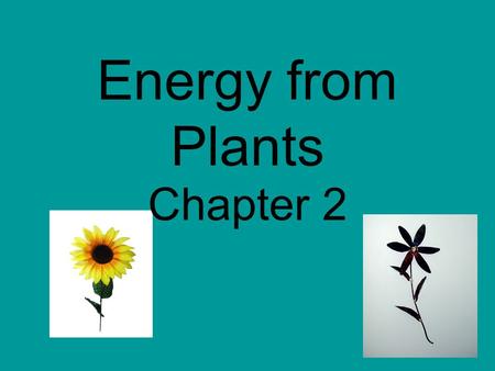 Energy from Plants Chapter 2.