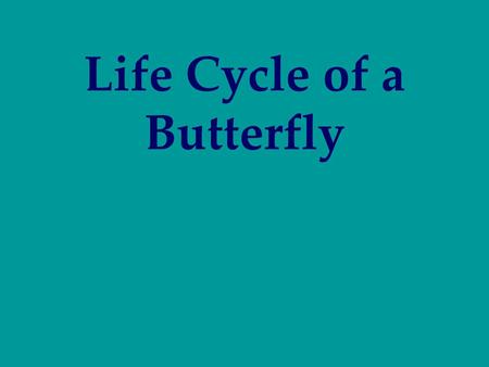 Life Cycle of a Butterfly. The egg is a tiny, round, oval, or cylindrical object, usually with fine ribs and other microscopic structures. The female.