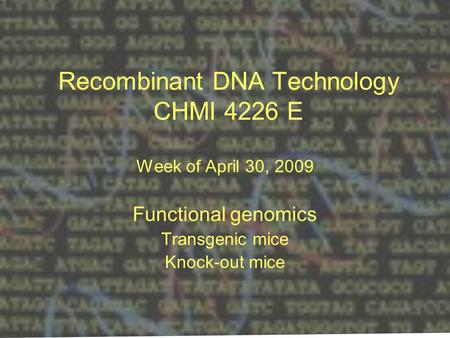 Recombinant DNA Technology CHMI 4226 E Week of April 30, 2009 Functional genomics Transgenic mice Knock-out mice.