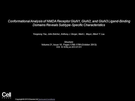 Conformational Analysis of NMDA Receptor GluN1, GluN2, and GluN3 Ligand-Binding Domains Reveals Subtype-Specific Characteristics Yongneng Yao, John Belcher,