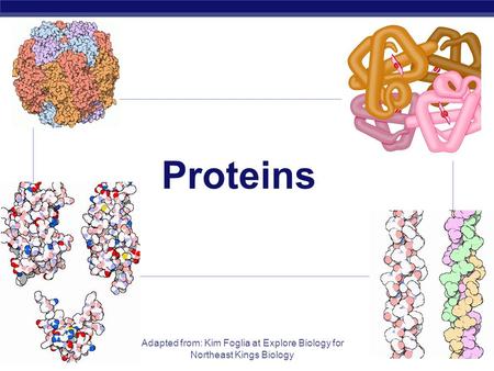 AP Biology Adapted from: Kim Foglia at Explore Biology for Northeast Kings Biology Proteins.