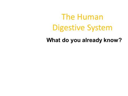 The Human Digestive System What do you already know? Complete the Digestive System Handout to the best of your ability without looking in any text or your.