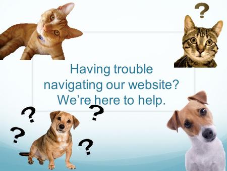Having trouble navigating our website? We’re here to help.