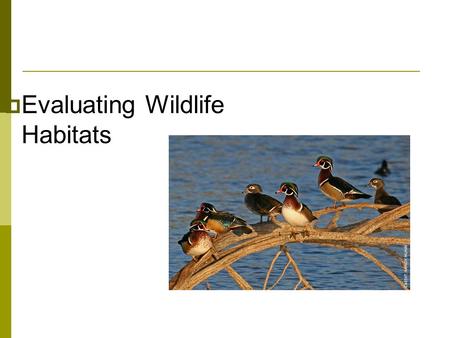  Evaluating Wildlife Habitats. Next Generation Science/Common Core Standards Addressed!  HS ‐ LS2 ‐ 6. Evaluate the claims, evidence, and reasoning.