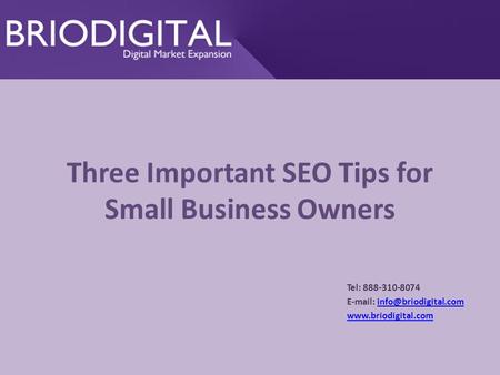 Three Important SEO Tips for Small Business Owners Tel: 888-310-8074