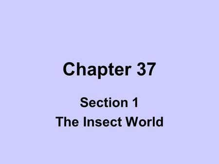 Section 1 The Insect World