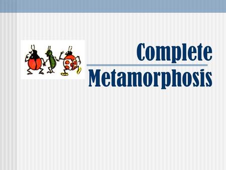 Complete Metamorphosis. What is metamorphosis? Metamorphosis refers to the way that certain organisms develop, grow, and change form. Metamorphosis actually.