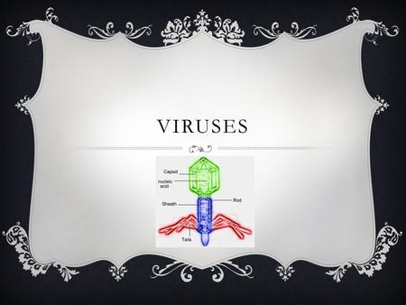 VIRUSES. WHAT IS A VIRUS?  Virus: a tiny, nonliving particle that invades and then multiplies inside a living cell Act like a parasite that can only.