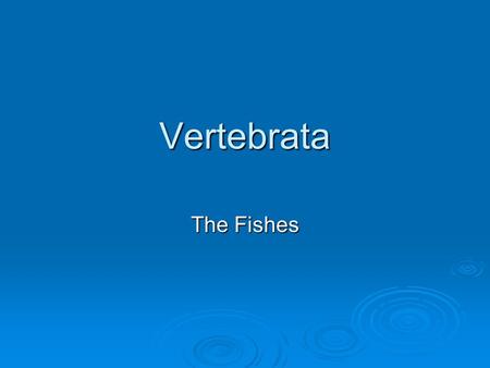Vertebrata The Fishes.
