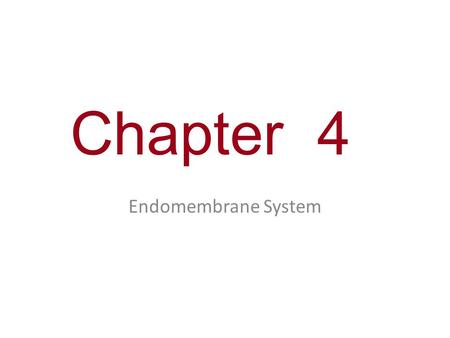 Chapter 4 Endomembrane System.