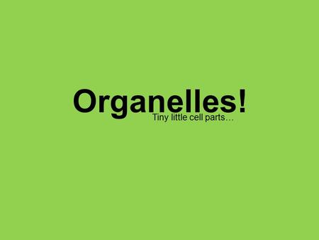 Organelles! Tiny little cell parts….