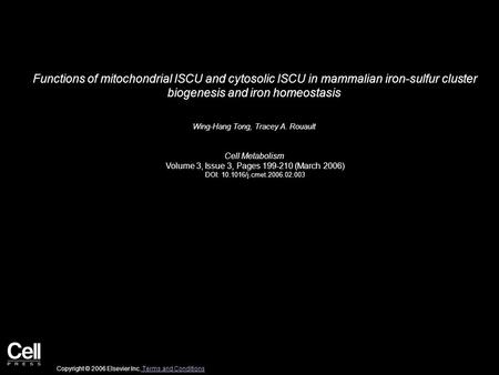 Functions of mitochondrial ISCU and cytosolic ISCU in mammalian iron-sulfur cluster biogenesis and iron homeostasis Wing-Hang Tong, Tracey A. Rouault Cell.